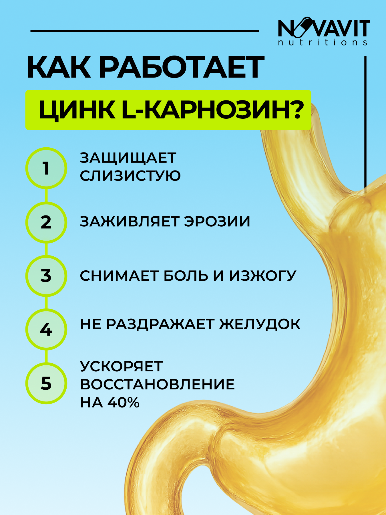 NOVAVIT nutritions, Цинк (L-карнозин), капсулы, 60 шт.