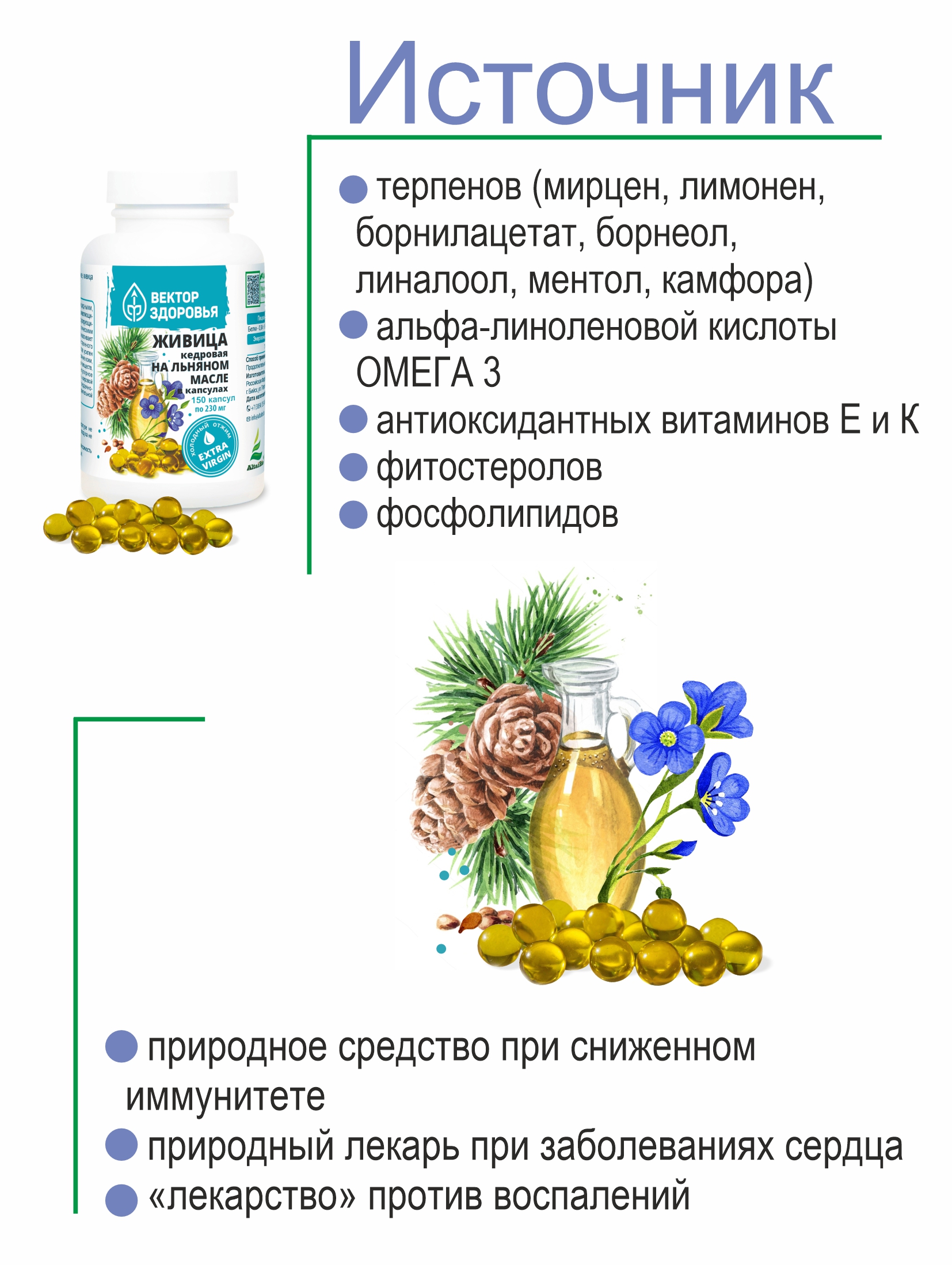 Алтай Простые решения, Живица кедровая на льняном масле, капсулы, 150 шт.