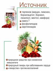 Алтай Простые решения, Живица кедровая на облепиховом масле, капсулы, 150 шт.