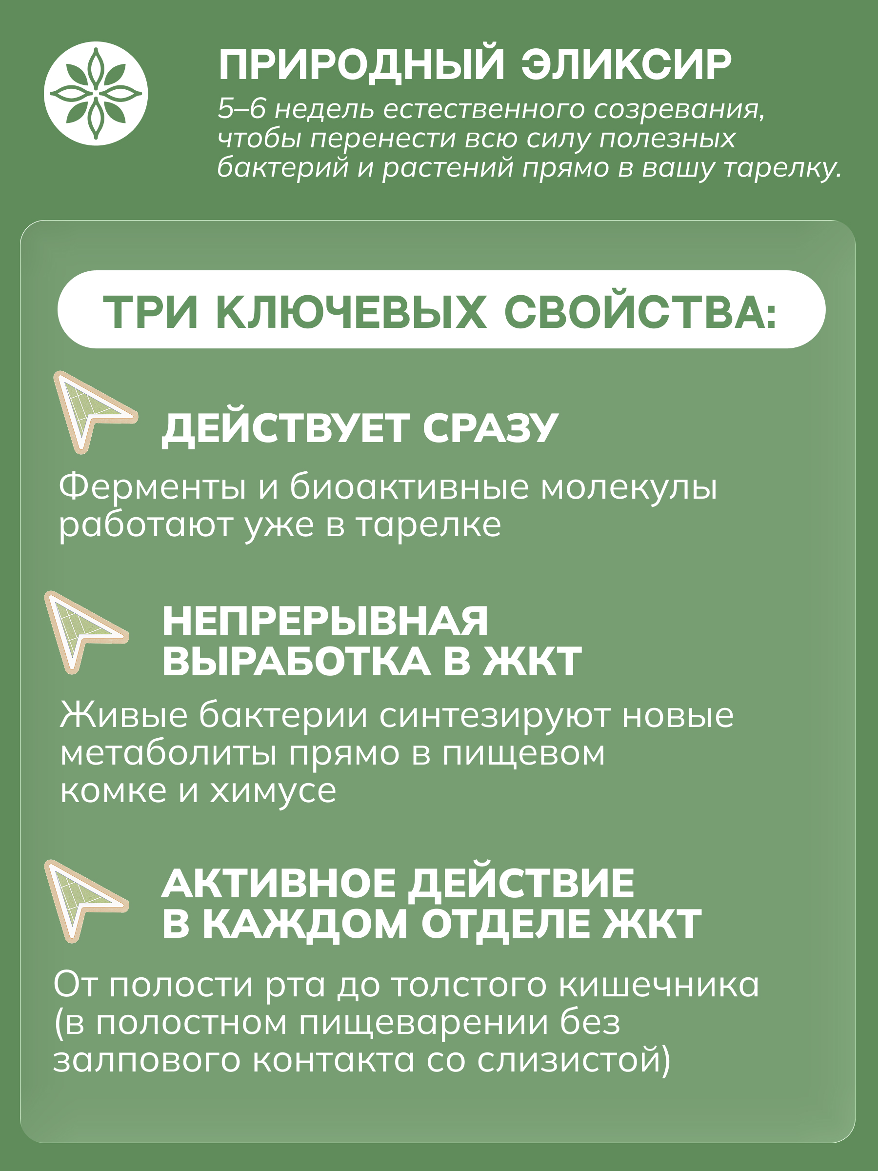 ЗОЭ, Эликсир овсяный 03 для пробиотификации пищи, 250 мл