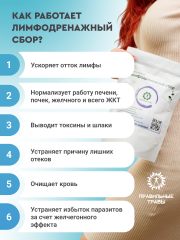 Правильные травы, Лимфодренажный сбор, 10*10 г