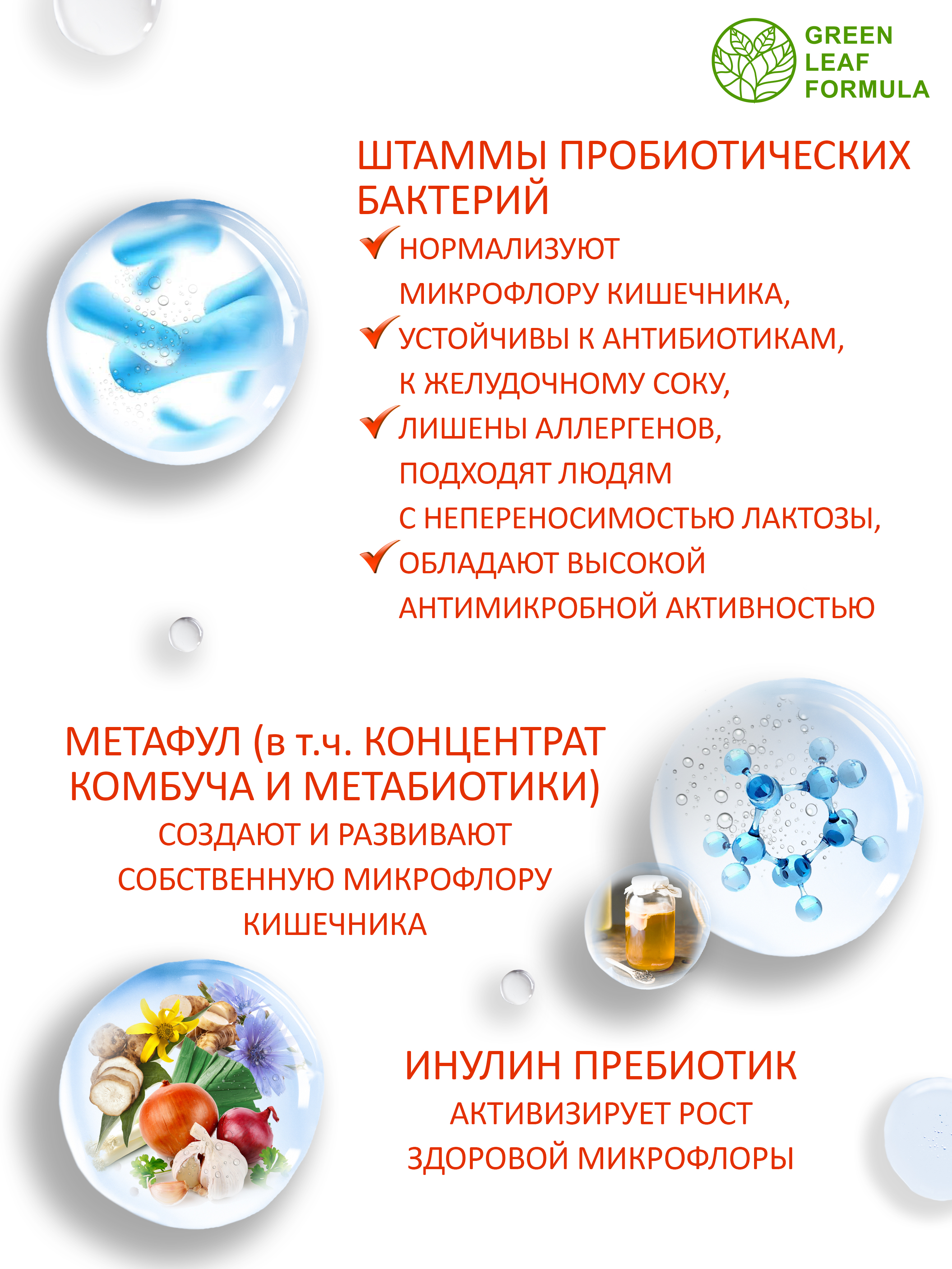 Green Leaf Formula, PROBIOSKIN (комплекс для здоровья кожи и кишечника), капсулы, 60 шт.