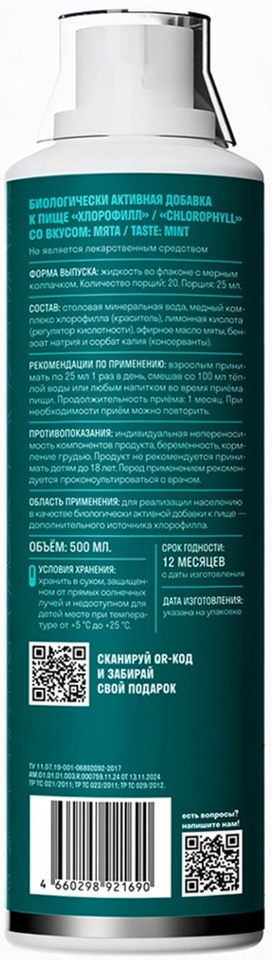 Leaftogo, Хлорофилл со вкусом мяты, жидкость, 500 мл