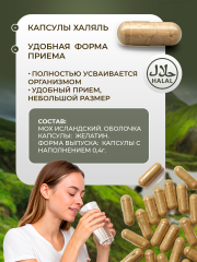 Сила феникса, Исландский мох, капсулы, 90 шт.