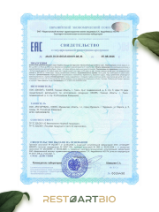 Restartbio, Корень лопуха и лист брусники, концентрат, 200 мл