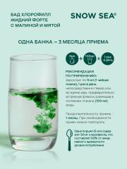 SNOW SEA®, Хлорофилл жидкий со вкусом мяты и малины (для детокса и похудения), жидкость, 450 мл