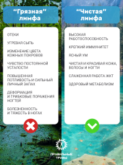 Правильные травы, Лимфодренажный сбор, 10*10 г