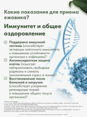 Restartbio, Ежовик гребенчатый, капсулы, 90 шт.