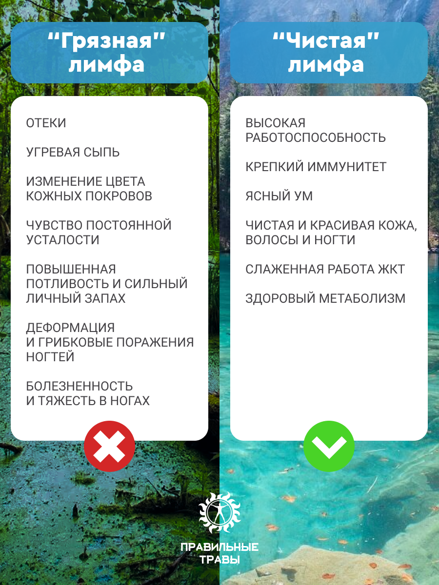 Правильные травы, Лимфодренажный сбор, 10*10 г