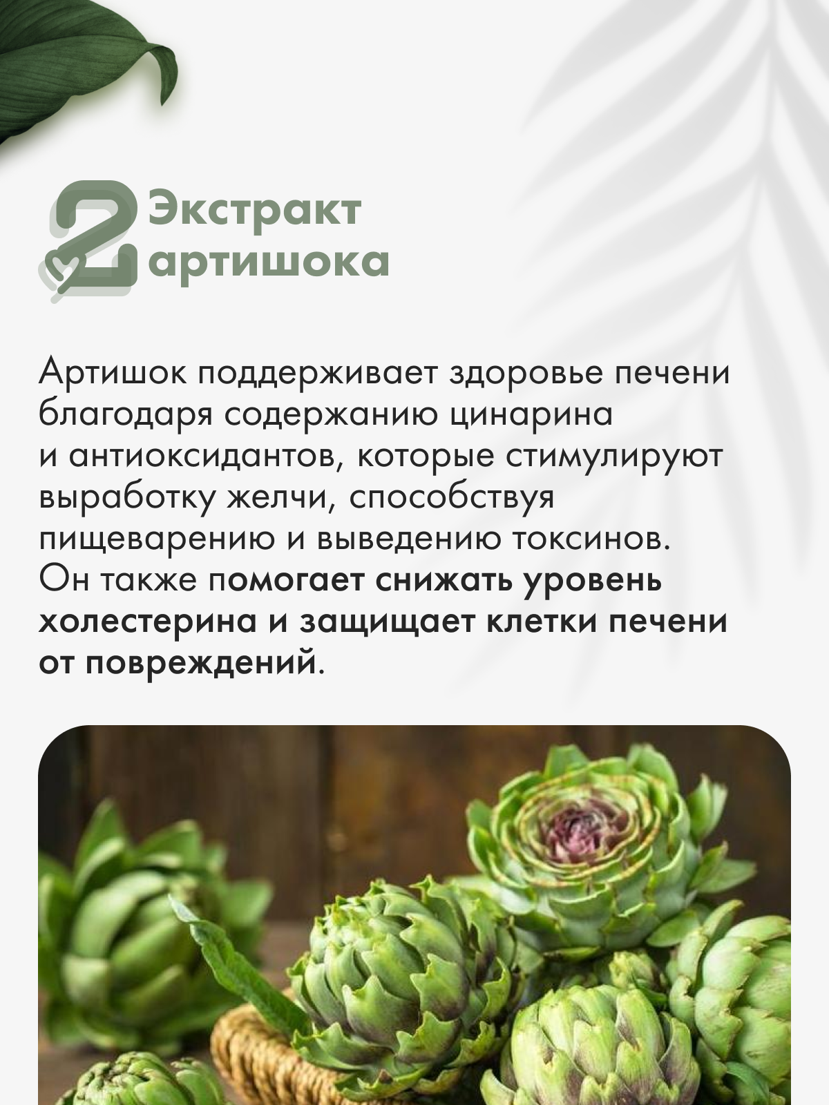 Restartbio, Здоровая Печень, капсулы, 60 шт.