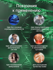 Солагифт, Bioeffectives «Хвойный концентрат для ванн» с клеточным соком пихты сибирской, жидкость, 200 мл
