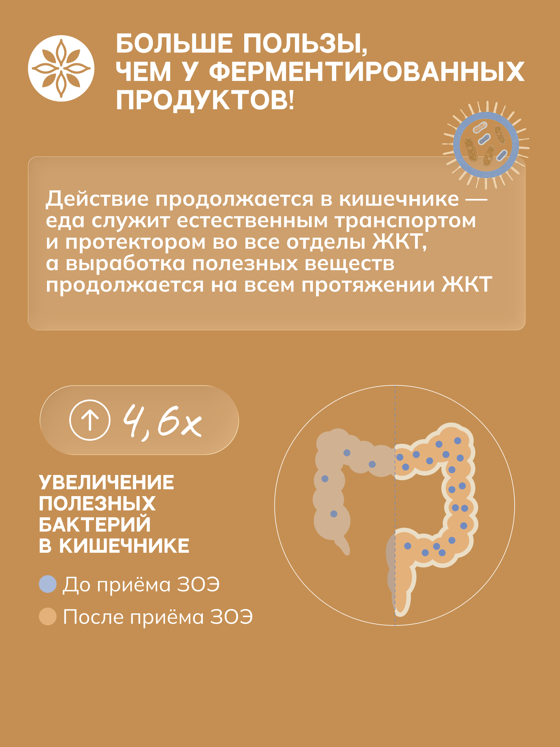 ЗОЭ, Пропиони овсяный 02 (концентрат для пищеварения), 250 мл