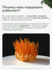 Restartbio, Кордицепс милитарис, капсулы, 90 шт.