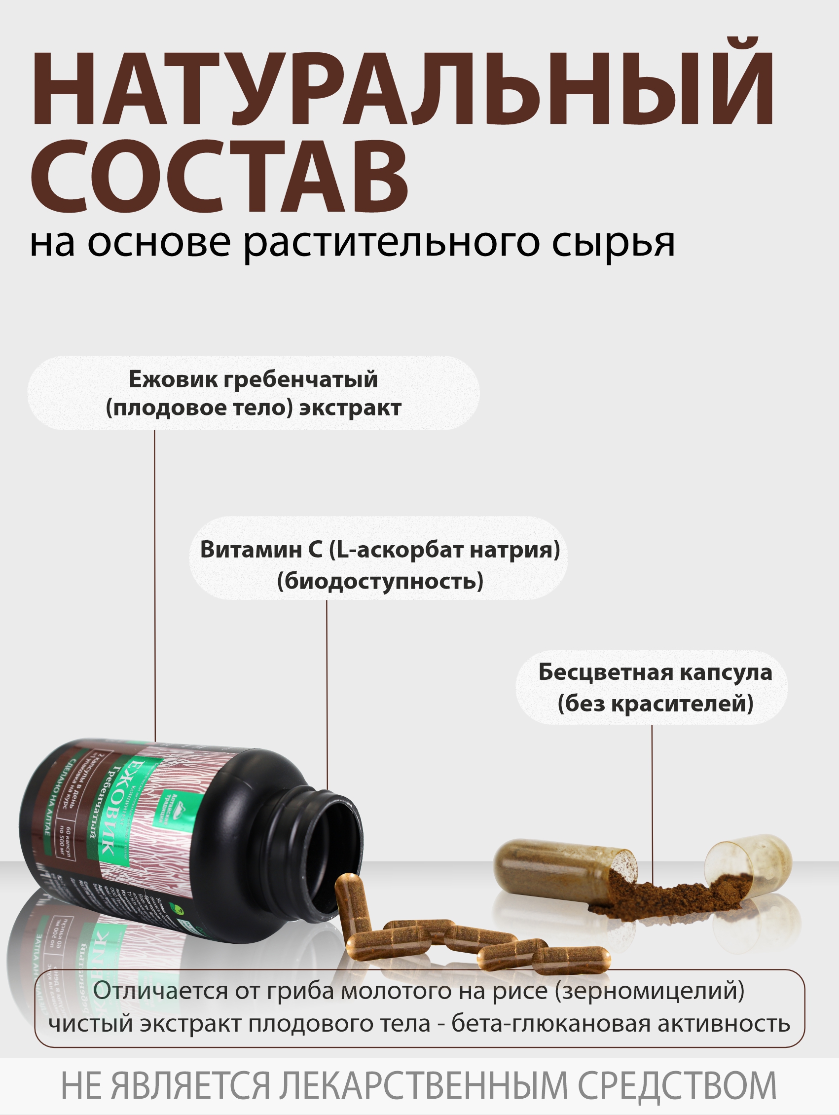 Алтай Простые решения, Концентрат «Ежовик Гребенчатый», капсулы, 60 шт.