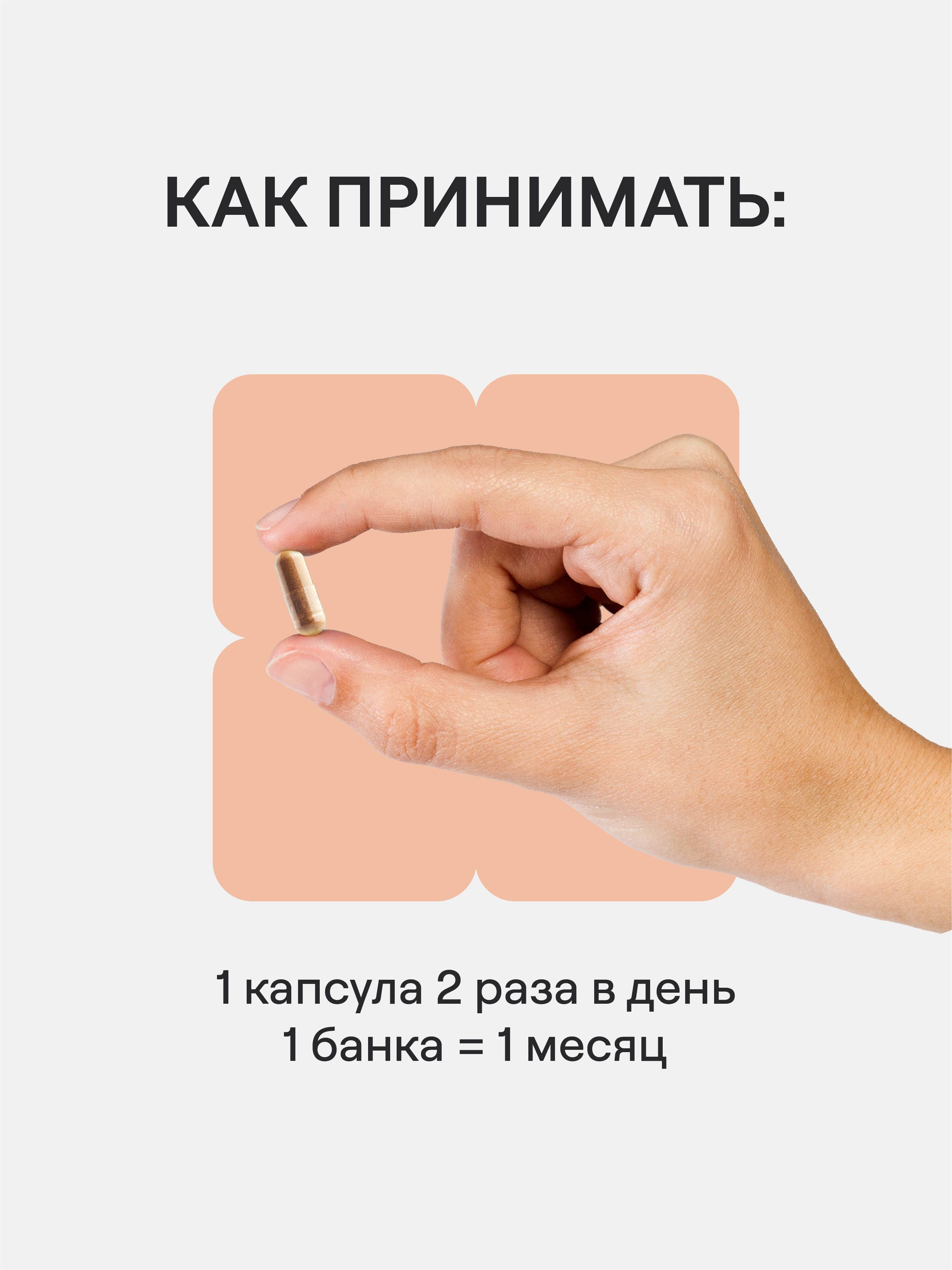 4FRESH HEALTH, Грибы рейши, капсулы, 60 шт.