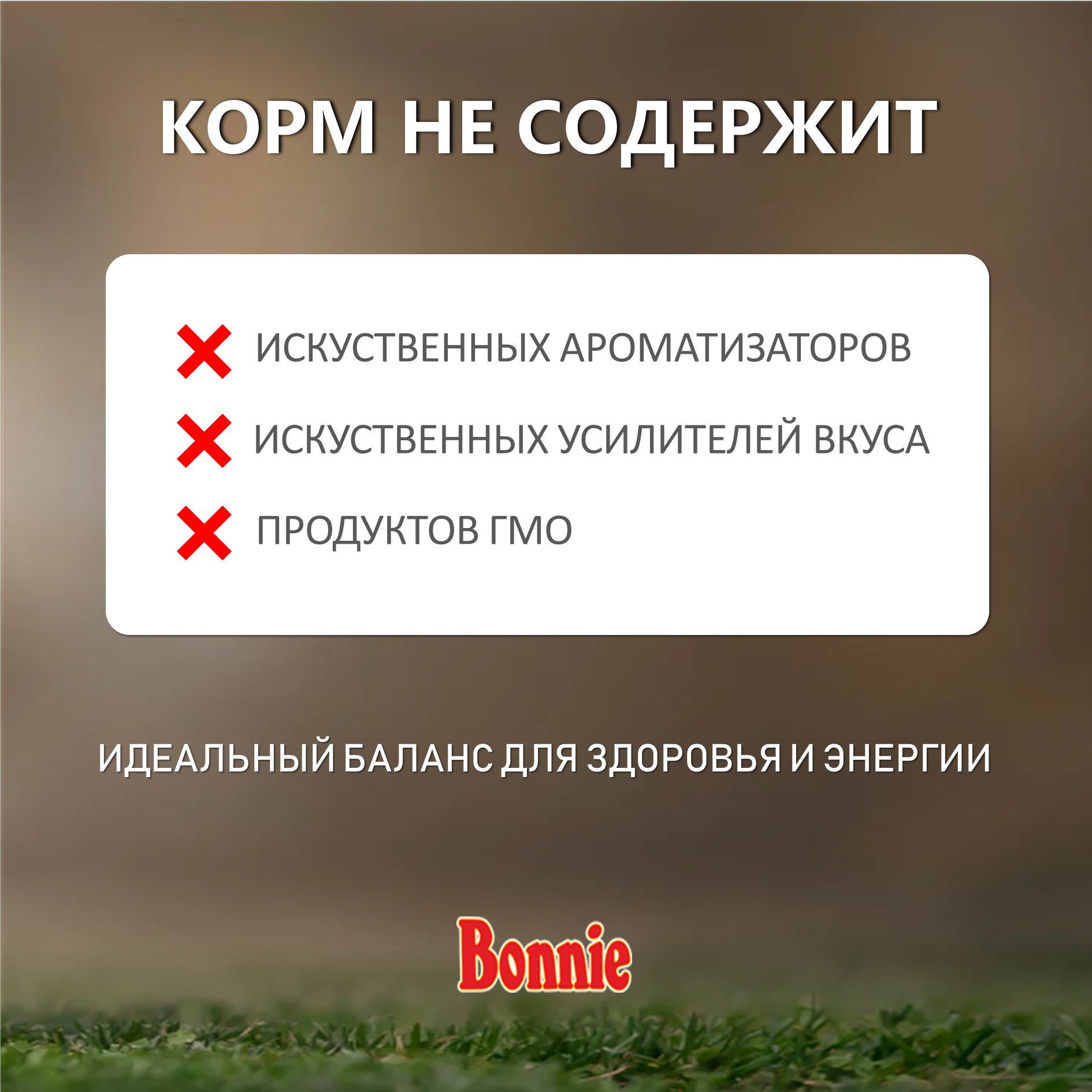 Bonnie, Сухой корм для собак мелких пород с курицей, 2500 г