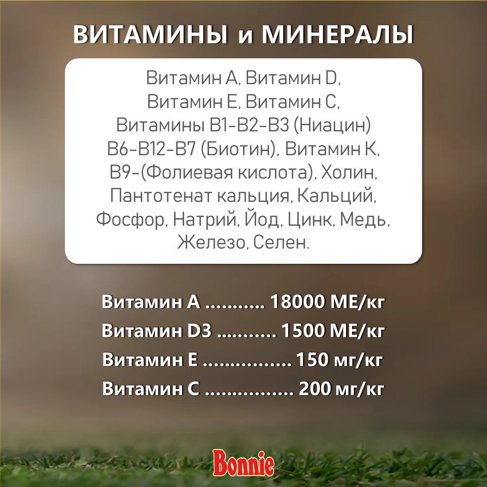 Bonnie, Сухой корм для для щенков с ягненком и рисом, 2500 г