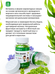 NDCG, Sea Moss for kids (ирландский мох), со вкусом яблока, жевательные конфеты, 60 шт.