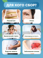 Правильные травы, Сбор для похудения, 10*10 г