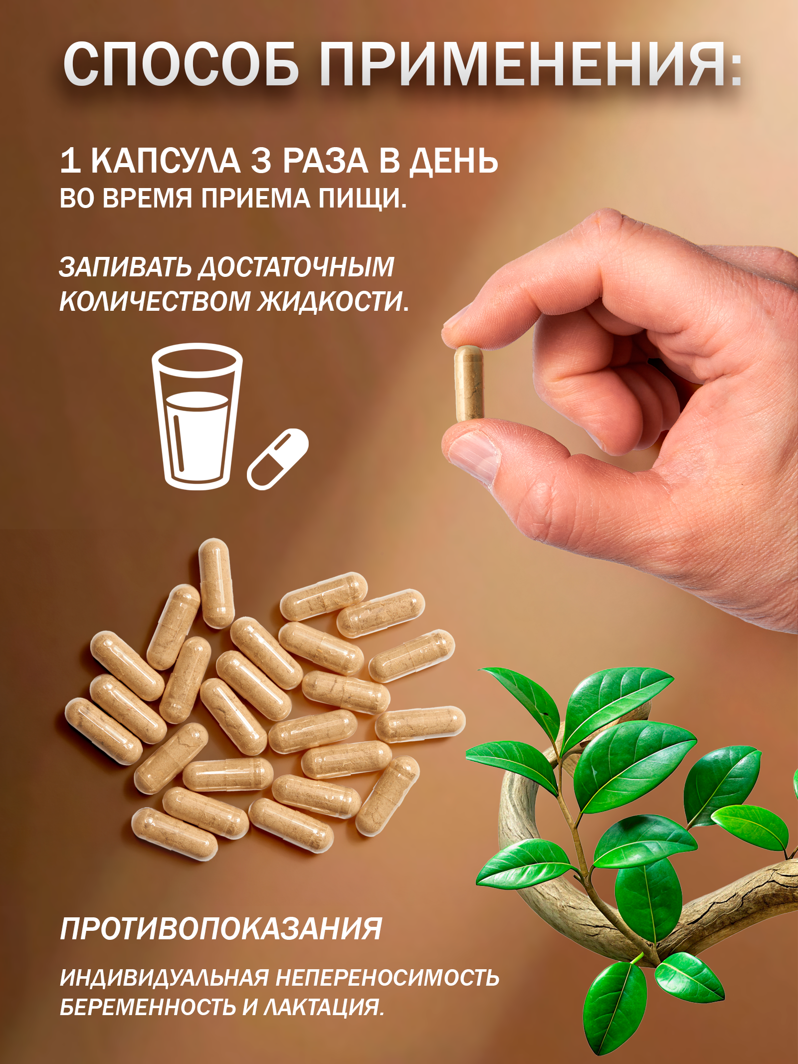 Сила феникса, Кора осины, капсулы, 90 шт.