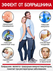 Правильные травы, Шиповник, 600 г