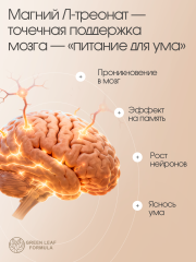 Green Leaf Formula, Магний (треонат) + витамин В6 (p-5-p), капсулы, 90 шт.