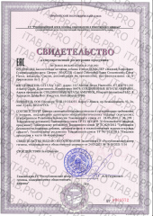 Maxler, Хлорофилл Супер Концентрированный (цитрус), жидкость, 450 мл