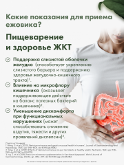 Restartbio, Ежовик гребенчатый, капсулы, 90 шт.