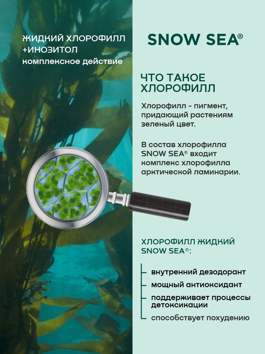 SNOW SEA®, Хлорофилл жидкий с инозитолом, со вкусом апельсина и мяты (для контроля стресса), жидкость, 450 мл