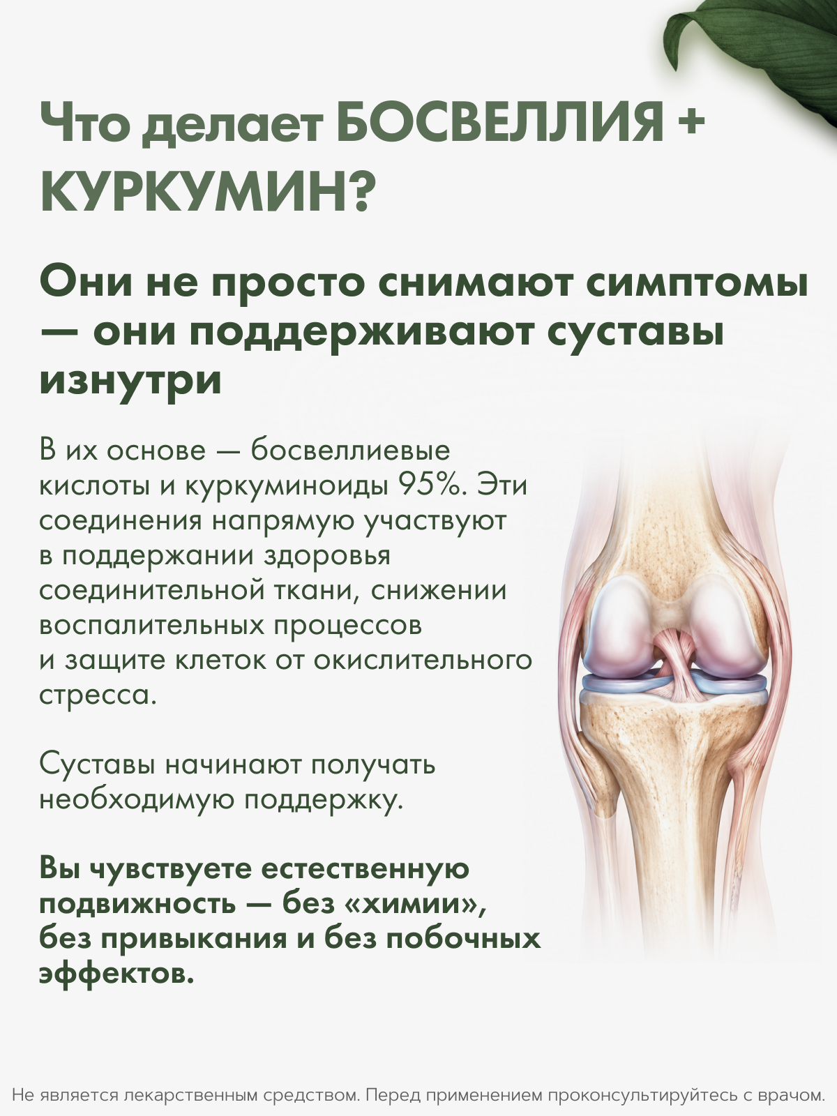 RestartBio, Босвеллия + куркумин, капсулы, 90 шт.