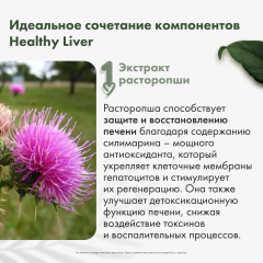 Restartbio, Healthy liver (для здоровья печени), капсулы, 120 шт.