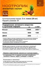 MORELET, Ноотропик питьевой с инозитолом, холином, ДМАЭ, жидкость, 500 мл