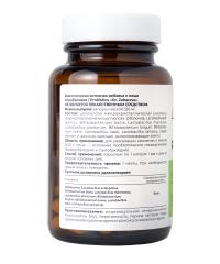 Dr.Zubareva, Пробиотики, капсулы, 60 шт.