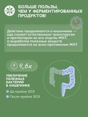 ЗОЭ, Эликсир овсяный 03 для пробиотификации пищи, 250 мл