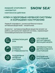SNOW SEA®, Хлорофилл жидкий с инозитолом, со вкусом апельсина и мяты (для контроля стресса), жидкость, 450 мл
