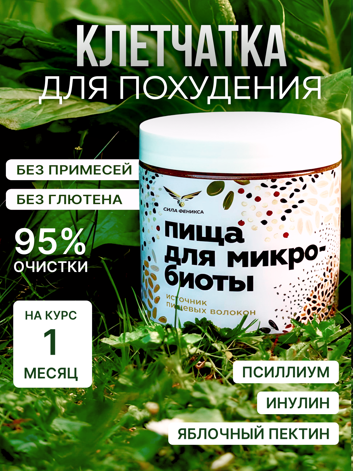 Сила Феникса, Концентрат пищевой «Пища для микробиоты», порошок, 170 г