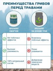 Prodex, Гриб «Сморчок» (для нормализации глазного давления и улучшения зрения), капсулы, 60 шт.
