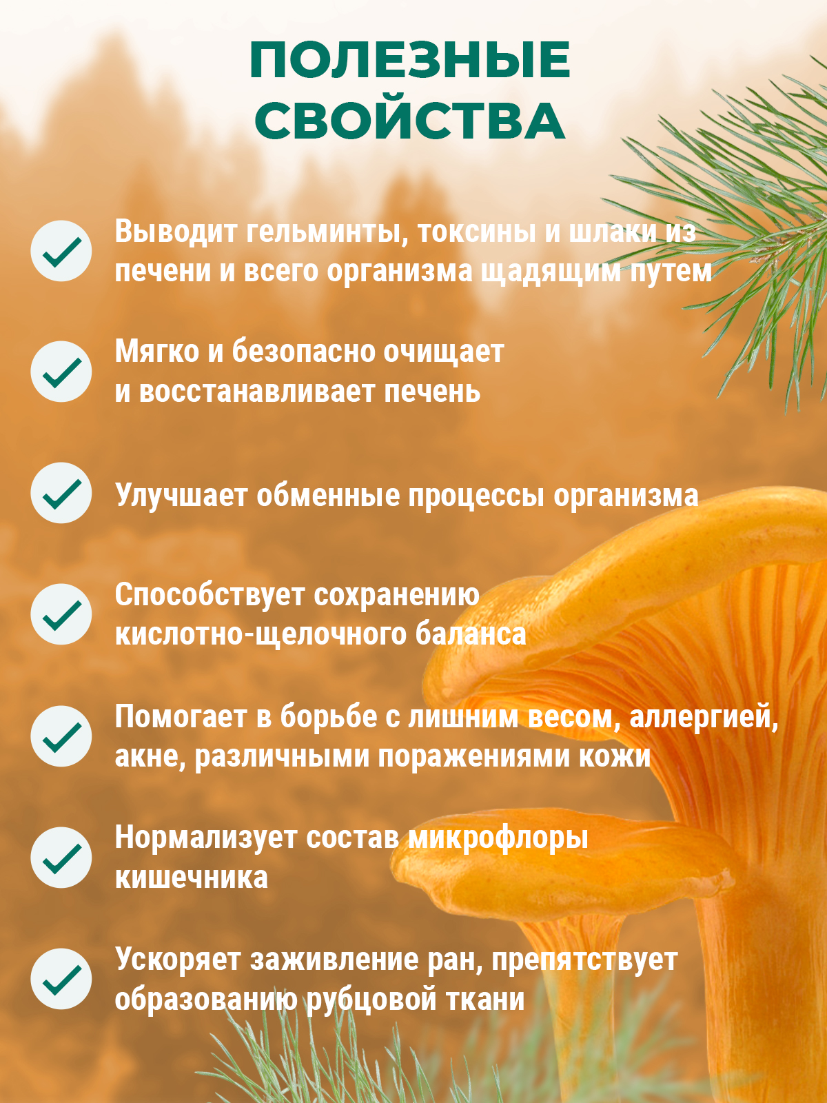 Фунго-Ши, Свечи ректальные «Фунго-Ши Лисички» (антипаразитарный комплекс), 10 шт.