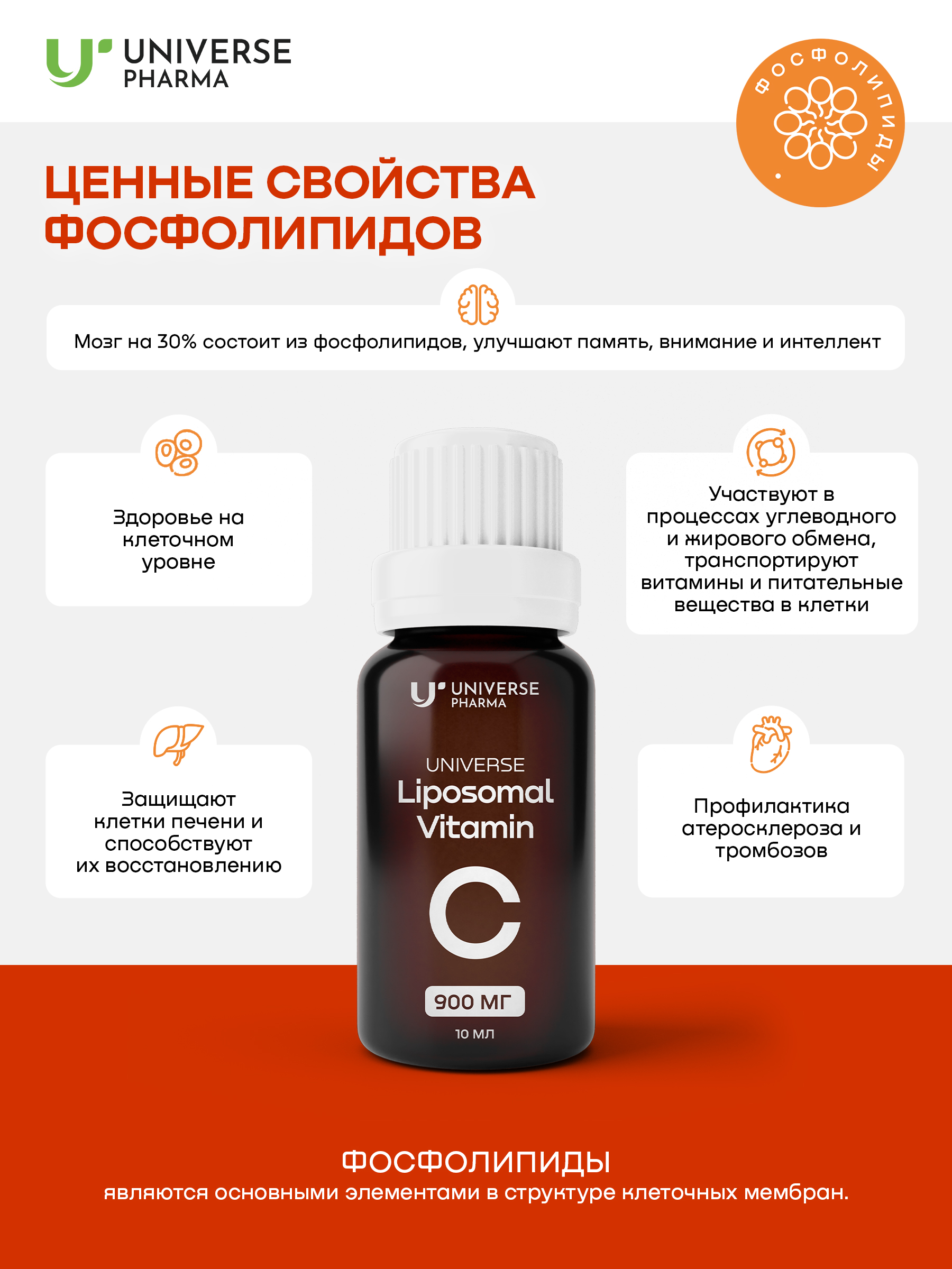 Universe Pharma, Липосомальный витамин C, жидкость, 20*10 мл