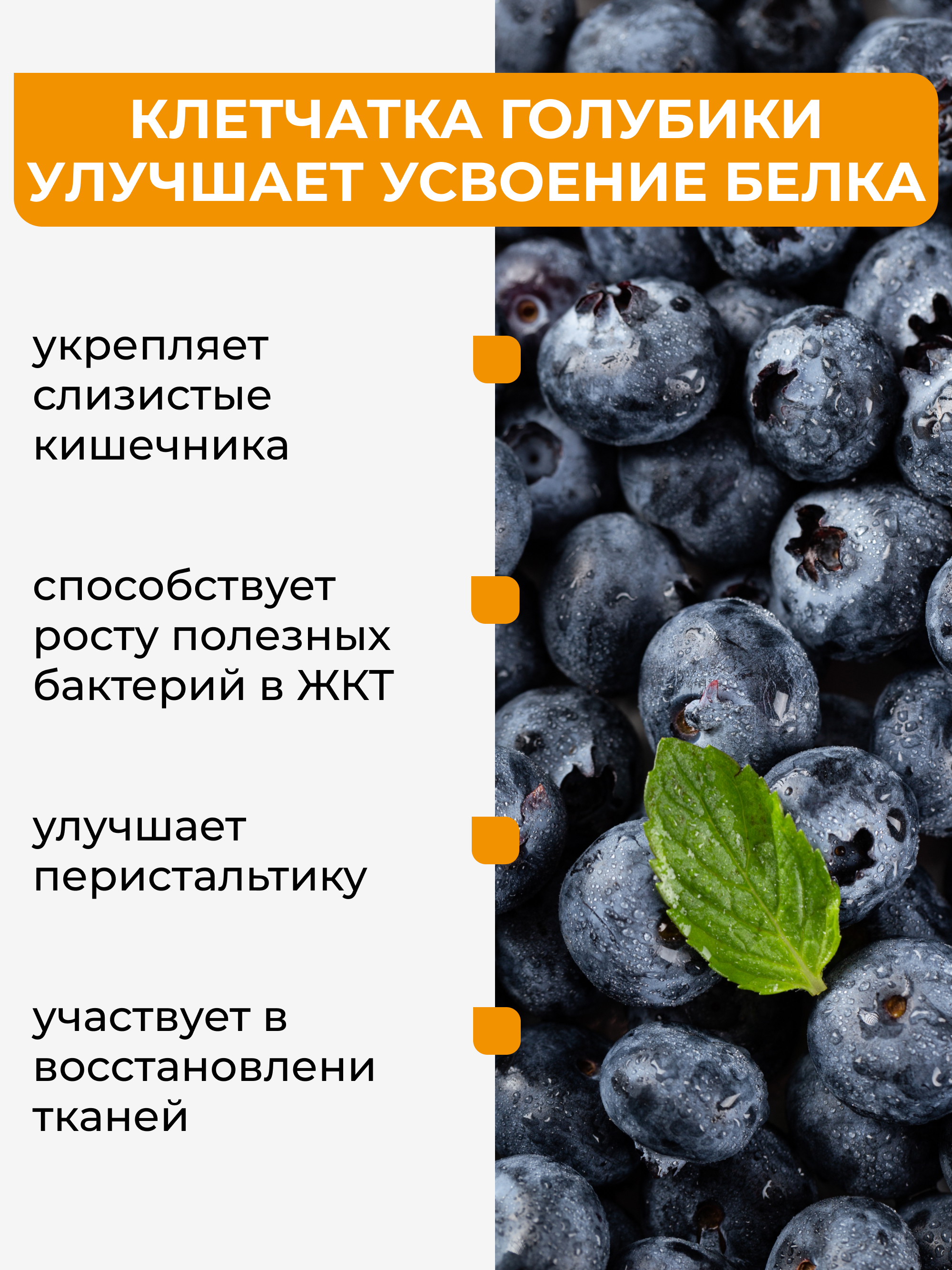 Yappi, Соевый изолят протеин с голубикой, 250 г