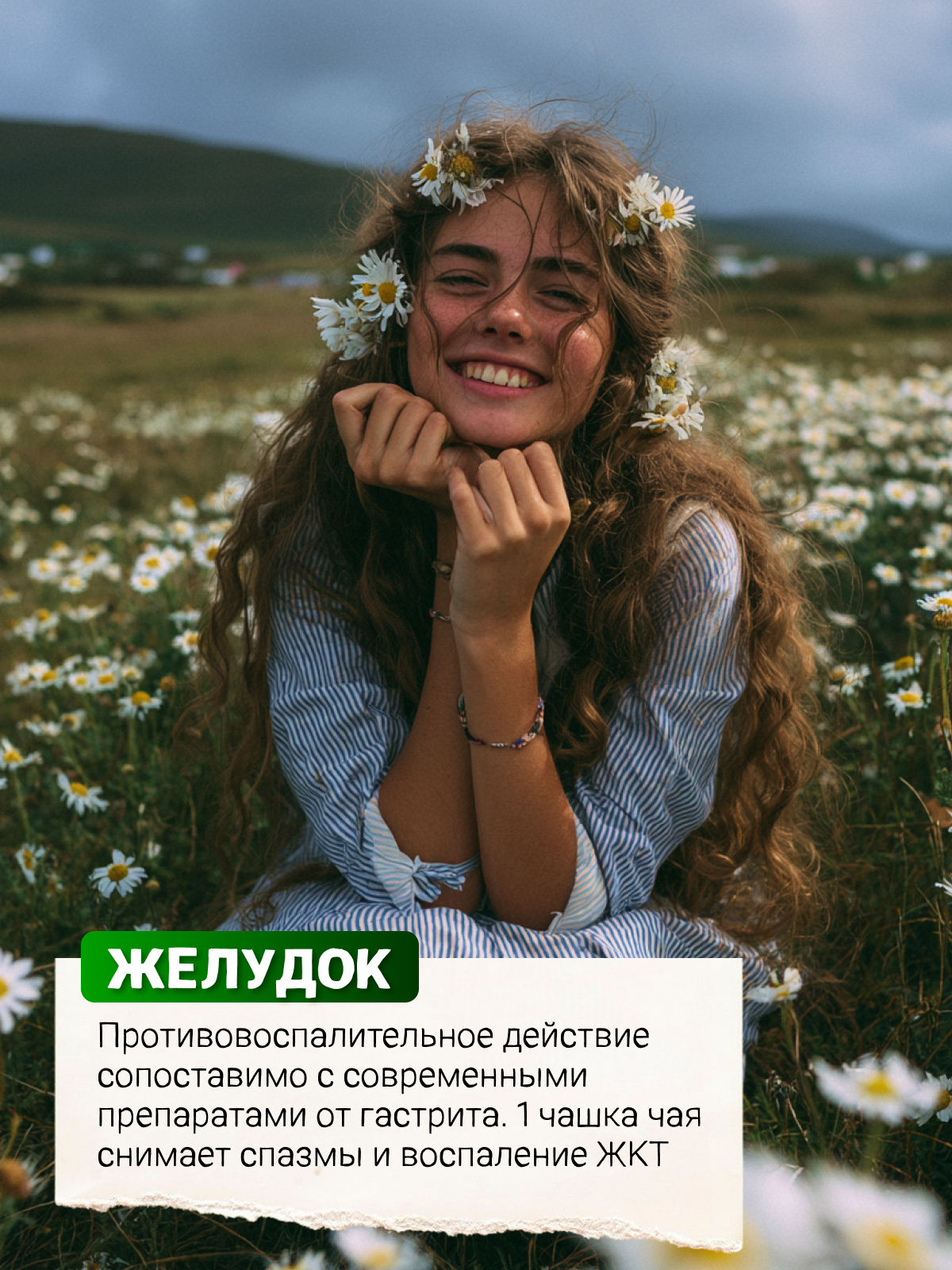 Правильные травы, Ромашка аптечная (Chamomile pharmacy), россыпь, 70 г