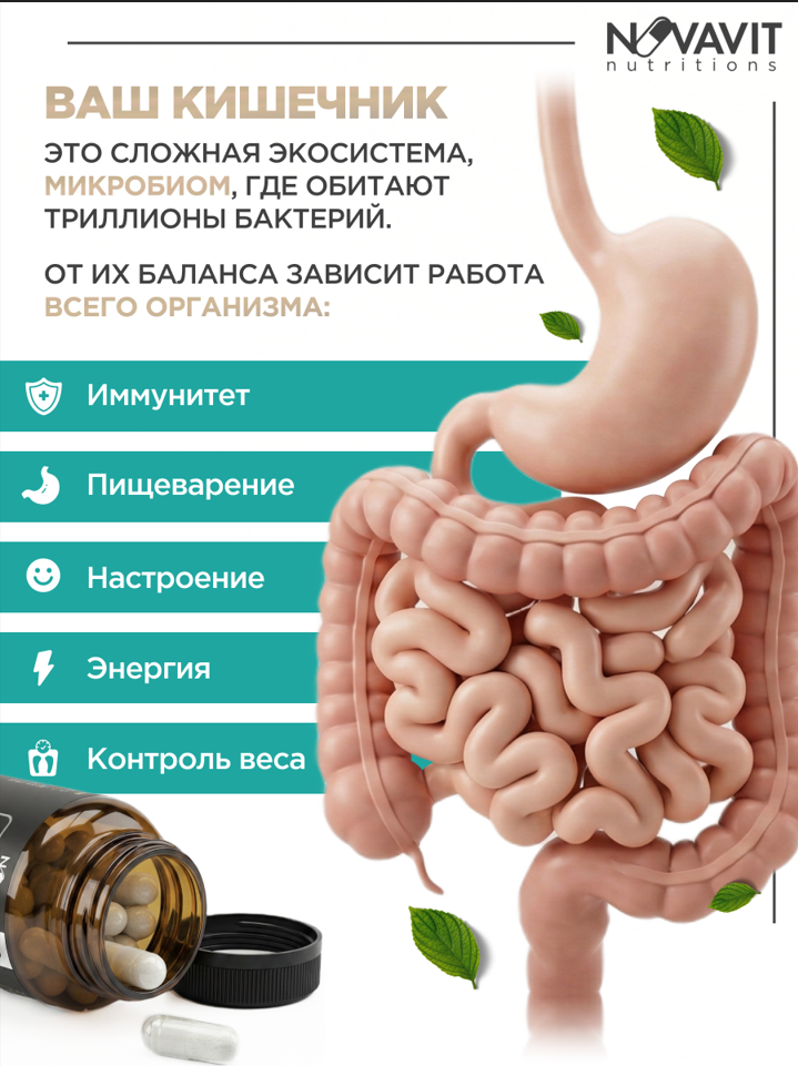 NOVAVIT nutritions, Пробиотики, для кишечника и пищеварения, капсулы, 60 шт.