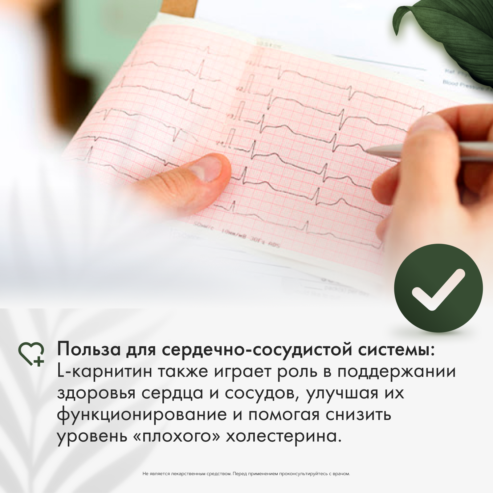 Restartbio, Л-Карнитин, капсулы, 120 шт.
