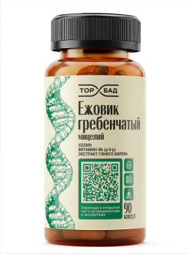 ТОРБАД, Ежовик гребенчатый с холином и гинкго билоба, капсулы, 90 шт.