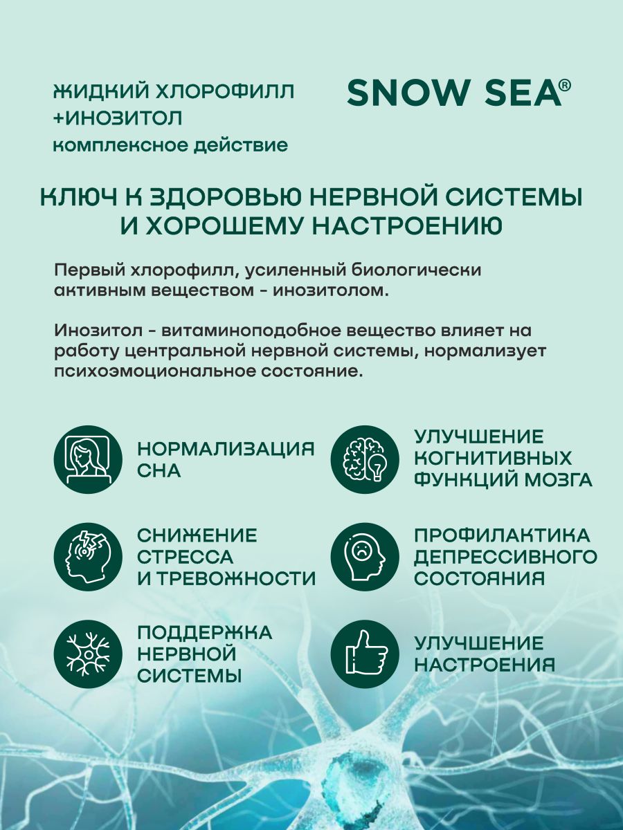 SNOW SEA®, Хлорофилл жидкий с инозитолом, со вкусом апельсина и мяты (для контроля стресса), жидкость, 450 мл