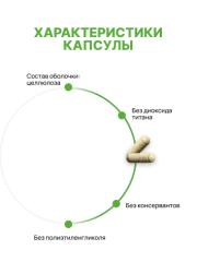 Biomins x maam, Витаминно-минеральный комплекс для планирующих беременность, беременных и кормящих женщин, растительные капсулы, 120 шт.