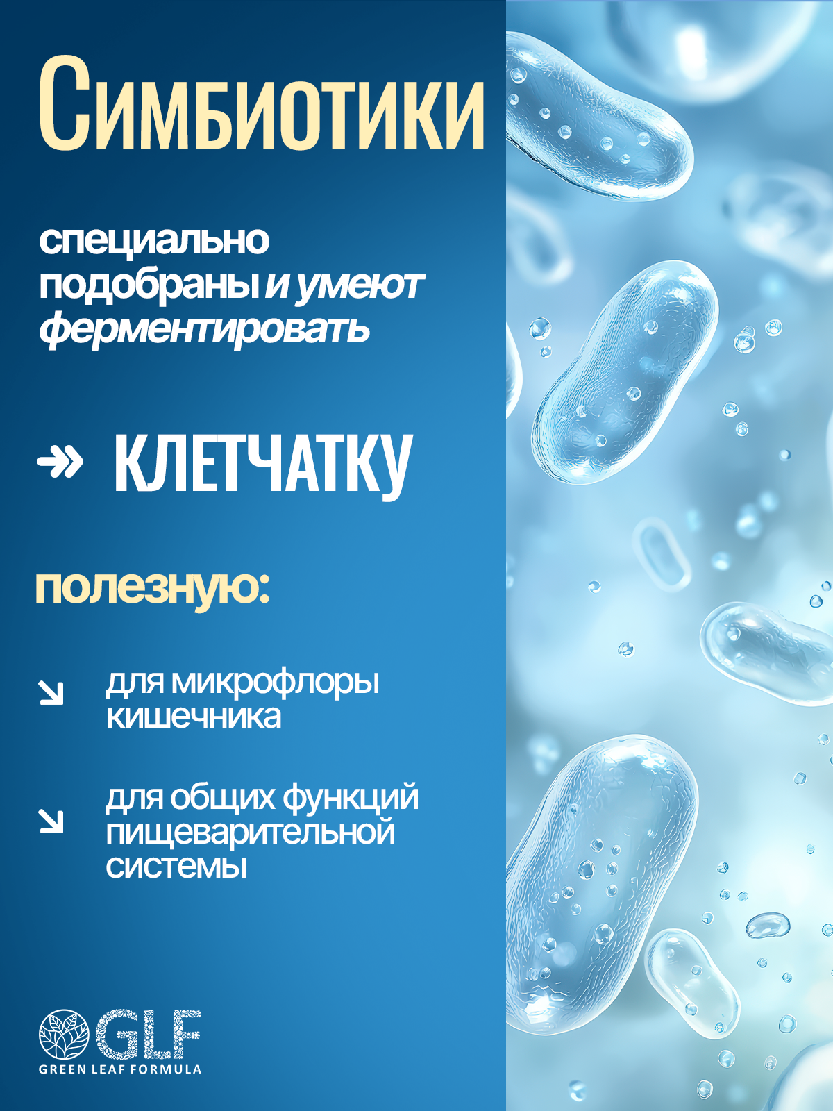 Green Leaf Formula, Бифидо-Б с лактулозой (источник бифидобактерий), капсулы, 60 шт.