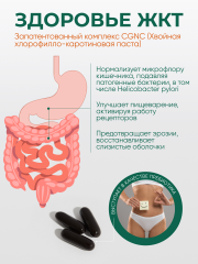 Солагифт, Bioeffectives A320 (для укрепления иммунитета и профилактики заболеваний системы пищеварения), капсулы, 60 шт.