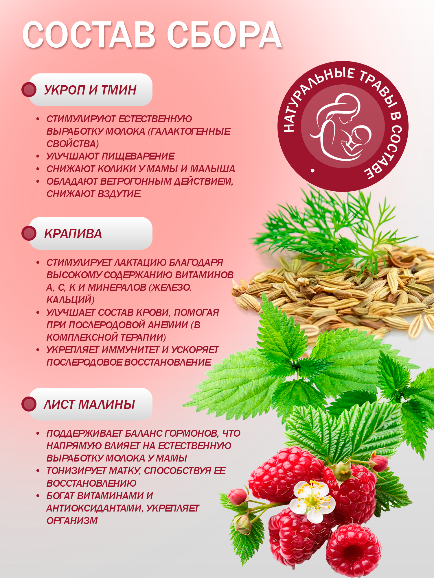 Правильные травы, Сбор для лактации, саше, 10*10 г