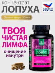 Алтай Простые решения, Концентрат Лопух, капсулы, 60 шт.